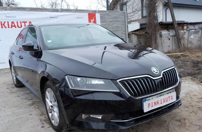 krynki Skoda Superb cena 37900 przebieg: 405193, rok produkcji 2017 z Krynki